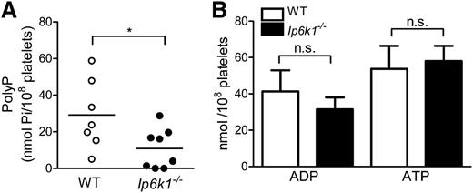 Figure 2. PolyP levels are reduced in Ip6k1−/− platelets. (A) Estimation of polyP levels in platelets isolated from WT and Ip6k1−/− mice, expressed in terms of phosphate monomers (Pi). Symbols represent each animal, and lines indicate the mean polyP level in each group. (B) Platelet ADP and ATP levels in WT and Ip6k1−/− mice. Data are mean ± standard error (n = 5 mice of each genotype). P values are from a 2-tailed Student t test (*P ≤ .05; n.s., not significant, P > .05).