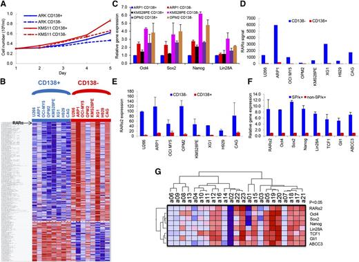Figure 1. RARα2 expression increases in myeloma stem cells. (A) Cell growth between CD138+ and CD138− cells from ARK and KMS11 was compared with a hemocytometer for 5 days. Cells from the CD138+ fraction exhibited higher proliferation than CD138− cells. All results were expressed as means ± SD of 3 independent experiments. (B) A supervised hierarchical cluster showed 291 significant differentially expressed genes between CD138+ and CD138− cells from 8 myeloma cell lines. Red for a gene indicates expression above the median and blue indicates expression below the median. Myeloma cell lines were plotted on the vertical axis and the gene probe sets are listed on top along the horizontal axis. (C) The expression of Oct4, Sox2, Nanog, and Lin28A was examined in CD138− and CD138+ cells of ARP1, KMS28PE, and OPM2 myeloma lines by real-time PCR. (D) RARα expression (Y-axis) was compared between CD138− cells with CD138+ cells in 8 myeloma cell lines using GEP analysis. (E) RARα2 expression was compared in the CD138− fraction vs the CD138+ fraction of 8 MM cell lines using real-time-PCR. (F) Real-time PCR showed that expression of RARα2, Oct4, Sox2, Nanog, Lin28A, TCF1, Gli1, and ABCC3 was increased in MMSCs (SP/κ+) cells compared with non-SP/κ+cells in a primary MM patient sample. (G) A Heatmap showed the expression of RARα2, Oct4, Sox2, Nanog, Lin28A, TCF1, Gli1, and ABCC3 genes in 23 primary MM samples as detected by RT-PCR.