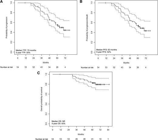 Figure 2. Survival in CR patients. (A) Time to progression in patients who achieved CR; (B) progression-free survival in patients who achieved CR; (C) and overall survival in patients who achieved CR.
