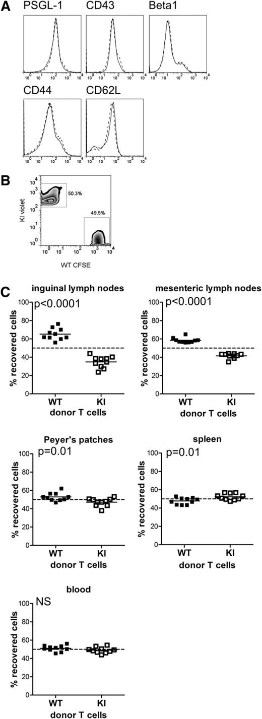 Figure 5. Loss of β2–kindlin-3 interactions in CD4 T cells results in altered homing in vivo. (A) Expression levels of the adhesion molecules PSGL-1, CD43, β1 integrin, CD44, and CD62L in WT (solid line) and KI (dashed line)-naïve CD4 T cells. (B) Naïve CD4 T cells were isolated from WT and KI mice, labeled with CFSE and CellTrace Violet, respectively, and mixed at a 1:1 ratio. (C) After adoptive transfer into recipient WT mice, the localization of WT and KI donor cells in the organs indicated was analyzed 16 hours post transfer. Plotted values indicate the recovery of WT or knock-in donor cells as a percentage of total recovered cells. Data are pooled from 2 independent experiments: 5 mice per group per experiment. Each data point represents an individual mouse, with the mean indicated. The dashed line shows 1:1 recovery of WT and KI T cells. Deviation from the dashed line indicates differential homing of WT and KI cells. The minimal, but significant, defect in KI T-cell homing to the Peyer’s patches likely reflects the involvement of other integrins in access to gut-associated lymphoid tissue. Student t test was used to calculate P values. NS, not significant.