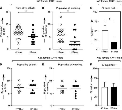 Figure 1. Smaller successive litters with fewer KEL-positive pups are born to wild-type females mated with KEL males. (A) Number of pups alive at birth, (B) number of pups alive at weaning, and (C) percentage of KEL-positive pups in first and third litters of wild-type females mated with KEL males. (D) Number of pups alive at birth, (E) number of pups alive at weaning, and (F) percentage of KEL-positive pups in first and third litters of control KEL females mated with wild-type males. (A-C) Data are a compilation of 40 total pregnancies; (D-F) data are a compilation of 16 total pregnancies. *P < .05.