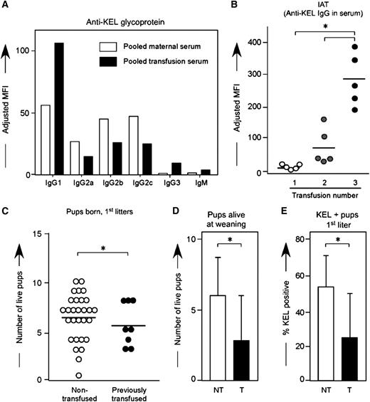 Figure 7. KEL RBC transfusions induce boostable anti-KEL alloantibodies, which result in adverse pregnancy outcomes. (A) Control animals were transfused 3 times with KEL RBCs, with anti-KEL IgG subtypes and IgM measured in pooled serum and compared with pooled serum from 12 females alloimmunized through pregnancy. (B) Anti-KEL IgG measured in transfusion recipients 2 weeks after each transfusion. (C) Naïve or transfused females were bred to KEL males, with total pups born enumerated. (D) percentage of pups alive at weaning evaluated, and (E) percentage of KEL-positive pups determined. (B) Results are representative of 3 independent experiments. (C-E) Results are a compilation of 37 pregnancies. *P < .05.