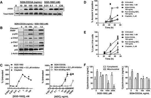 Figure 3. Mechanism of action of SGN-CD33A against MDR+ HEL 92.1.7 AML cells. Cells were incubated with SGN-CD33A, SGD-1882, or a control compound (10 μM CIS, cisplatin) before processing for Western blot analyses of (A) γH2AX and (B) cleaved PARP, phospho-p53, phospho-Chk2, phospho-Chk1, and Bmf. To confirm equivalent protein loading, blots were assessed for levels of total H2AX, p53, and β-actin. Cells treated with SGN-CD33A, SGD-1882, nonbinding control ADC, and cisplatin were also evaluated for (C) caspase-3 activity, (D) annexin V staining, (E) mitochondrial membrane integrity (ΔΨm) by Mitocapture assay, and (F) cytochrome c release. Cells were processed 44 to 48 hours after initial exposure for Western blot analyses and caspase-3 activity and after 70 hours for cytochrome c release. In some experiments, cells were preincubated with a caspase inhibitor (Z-VAD-FMK, 0.5 μM) for 30 minutes before treatment with SGD-1882 or SGN-CD33A or nonbinding control. For annexin V and assay for mitochondrial integrity, cells were treated with 100 ng/mL SGN-CD33A or nonbinding control ADC, 1 nM SGD-1882, or 3 μM cisplatin. Data shown in Figure 3C-F represent mean ± SD of values from 2 to 3 experiments. One hundred nanograms per milliliter SGN-CD33A is the ADC equivalent for 1 nM SGD-1882.