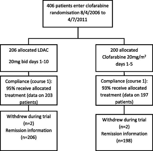 Figure 1. CONSORT diagram.