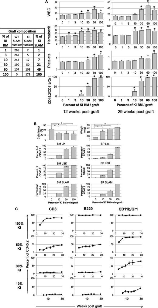 Figure 5. Competitive grafts with different ratio of KI/WT BM cells showing disease propagation from a low number of KI SLAM cells. (A) Left: composition in WT/KI SLAM (LSK, CD48−, CD150+) cells, determined by FACS analysis, in the 3 × 106 cells grafts mixing different percentages of KI and WT BM cells from 1-month-old donor mice. Right: WBC (106/mL), hematocrit (%), and platelet (109/mL) levels and frequency of blood KI myeloid cells (CD45.2/CD11b/Gr-1) measured 12 and 29 weeks after transplantation of BM samples containing 0%, 1%, 3%, 10%, 30%, 60%, and 100% KI BM cells (n = 5/graft mixture). Results show that a disease may develop (3/5 recipients) from a graft containing 10% KI BM cells or 17 KI SLAM cells. (B) BM cellularity, spleen weight, and Lin-, LSK, and SLAM cells from KI origin found 29 weeks after transplantation in mice transplanted with 0%, 10%, 30%, and 100% KI BM cells. Results show low BM cellularity, splenomegaly, and amplification of early cells from the initial 7% and 21% KI SLAM cell input present in the 10% and 30% KI BM graft. (C) Percent of CD3, B220, and CD11b/Gr-1 cells from KI origin in the blood of mice transplanted with 10%, 30%, 60%, and 100% KI BM cells. Results show that myeloid cells but not lymphoid cells were amplified after transplantation from the initial 7%, 21%, and 49% KI SLAM cell input present in the 10%, 30%, and 60% KI BM graft. Data are mean values ± SEM, n = 5/graft mixture, except for mice grafted with 10% KI cells in graphs B and C, where only 3 mice developed the disease, the 2 other mice having no KI cells detectable 6 months after transplantation. *P ≤ .05 with the 2-tailed unpaired Student t test compared with recipients grafted with 0% KI cells.