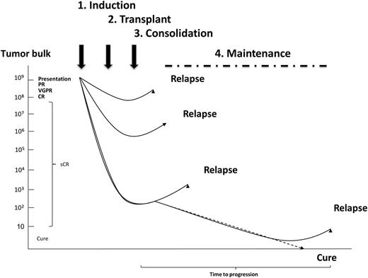 The key elements of modern treatment strategies: sequential treatment approach for myeloma. Ongoing treatment with an induction phase, followed by intensification (transplant), consolidation, and a maintenance phase.