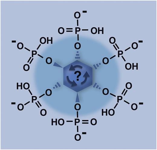 Inositol with all 6 hydroxyl groups phosphorylated (the molecule depicted here, termed inositol hexakisphosphate or IP6) is the substrate for inositol hexakisphosphate kinase 1 (IP6K1), which adds yet another phosphate group to this molecule in order to create inositol pyrophosphates. In a manner not well understood, knocking out the IP6K1 enzyme in mice severely decreases the accumulation of polyphosphate in platelet dense granules, with consequences for platelet function in both hemostasis and thrombosis. Professional illustration by Marie Dauenheimer.