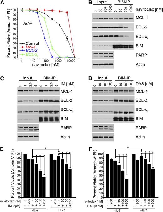Figure 6. Potentiation of mouse BCR-ABL+ leukemia to combining TKI and small-molecule BCL-2 inhibitors. (A) In vitro–generated Mcl-1–deleted Arf−/− p185+ cells stably expressing the indicated constructs were treated with indicated doses of navitoclax (ABT-263) for 24 hours after which the percent viable cells was determined (PI-negative cells were scored as viable). Each point represents the average of 3 independent experiments, and the error bars denote the SEM. p185+ Arf−/− cells serve as a control. (B) Arf-null p185+ cells were treated with navitoclax for 24 hours at indicated doses. Lysates were immunoprecipitated with anti-BIM antibody, and immune complexes were resolved and western blotted for MCL-1, BCL-2 (human specific antibody), BCL-XL, BIM, PARP, and actin (loading control). Endogenous BIM serves as the control for equal immunoprecipitation. (C-D) p185+ Arf−/− cells were treated with IM (C) or DAS (D) for 24 hours at indicated doses. Lysates were immunoprecipitated with anti-BIM antibody, and immune complexes were resolved and western blotted for MCL-1, BCL-2, BCL-XL, BIM, PARP, and actin (loading control). Endogenous BIM served as the control for equal immunoprecipitation. (E-F) p185+ Arf−/− cells were treated with indicated doses of navitoclax and/or IM (E) or DAS (F) for 24 hours after which the percent viable cells was determined. Annexin-V/PI–negative cells were scored as viable. IL-7 was added to a final concentration of 20 ng/mL. Bars represent the average of 3 independent experiments done in triplicate, and the error bars denote the SEM. Asterisk (*) indicates P < .001 by 2-way analysis of variance with a Bon Ferroni posttest between treatments linked with horizontal line.
