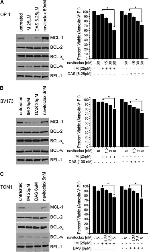 Figure 7. Potentiation of Ph+ human cell lines to combining TKI and small-molecule BCL-2 inhibitors. Human Ph+ cell lines: OP-1 Ph+ B-ALL (A) TOM1 Ph+ B-ALL (B), and BV173 Ph+ CML blast crisis (C) cell lines were treated with navitoclax, IM, or DAS at indicated doses for 24 hours after which cell lysates were analyzed for expression of MCL-1, BCL-2, BCL-w, BFL-1, and BCL-XL. For potentiation experiments, the percentage of viable cells was determined by annexin-V and PI negativity. Bars represent the average of 3 independent experiments, each done in triplicate, for each cell type, and the error bars denote the SEM. Asterisk (*) indicates P < .001 by 2-way analysis of variance with a Bon Ferroni posttest between treatments linked with horizontal line.