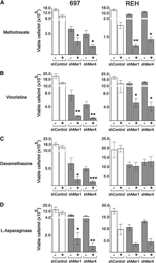 Figure 6. Inhibition of Mer expression results in increased chemosensitivity in B-ALL cells. (A) Mer knockdown (shMer1, shMer4) and shControl 697 and REH cells were treated with 30 nM methotrexate (+) or equivalent concentration of PBS (−) (vehicle control) for 48 hours, then washed, resuspended in cRPMI medium in equal numbers, and cultured for 6 days. Similarly, cells were treated with (B) 0.2 nM vincristine or PBS, (C) 50 nM dexamethasone for 697 and 10 µm dexamethasone for REH or ethanol, and (D) 3 IU/mL l-asparaginase or ethanol. At the end of 6 days, the concentration of viable cells was determined. Mean values and SEs derived from at least 3 independent experiments are shown. (A-B) Rebound growth of 697 and REH cells after methotrexate or vincristine treatment was abrogated by Mer inhibition compared with shControl cells. (C) Rebound growth of 697 cells after treatment with dexamethasone was abrogated by Mer inhibition although Mer inhibition did not affect steroid resistance in REH cells. (D) Rebound growth of 697 cells after treatment with l-asparaginase was abrogated by Mer inhibition. A similar trend was observed for REH cells, although both knockdowns were not statistically significant. *P < .05; **P < .01; ***P < .001.