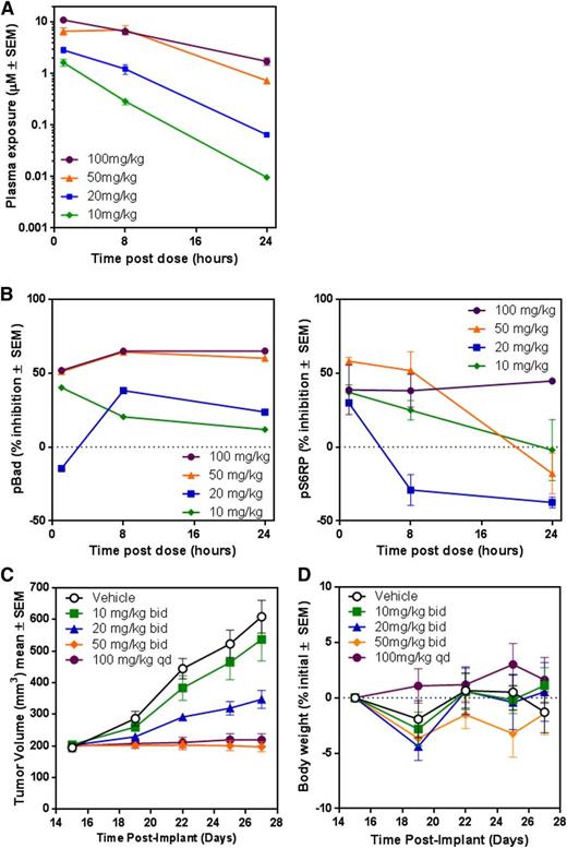 Figure 7. Pim inhibition suppresses MM growth in mouse xenograft model. (A) Scid/bg mice were administered a single oral dose of LGB321 at 10, 20, 50, and 100 mg/kg, and LGB321 levels were detected in plasma collected from each animal at 1, 8, and 24 hours post dose (n = 3 per time point). (B) Pharmacodynamics were measured by assessing modulation of p-BAD and p-S6RP in the lysate of subcutaneous KMS-11.luc tumors from animals given a single dose of 10, 20, 50, or 100 mg/kg of LGB321, at 1, 8, or 24 hours post dosing (n = 3 per time point). Both phosphorylated and total forms of BAD and S6RP were detected by electrochemiluminescence, and a ratio was calculated to express percent inhibition of the phosphorylated form normalized to vehicle-treated tumors. (C) Mice bearing subcutaneous KMS-11.luc tumors were dosed by oral gavage with vehicle or LGB321 at daily doses of 20, 40, or 100 mg/kg per day (n = 9 per group). A dose-dependent inhibition of tumor growth was demonstrated, and tumor stasis was achieved with 100 mg/kg per day. *P < .05. (D) Body weight of animals in all dosing groups was measured and calculated to express the changes within the period of study. SEM, standard error of the mean.