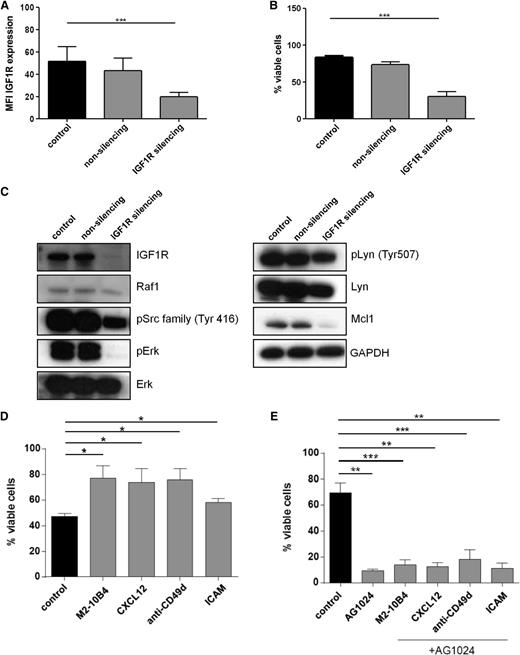 Figure 3. siRNA-mediated knockdown of IGF1R leads to enhanced cell death of primary human CLL cells and is associated with downregulation of pErk. IGF1R inhibition overcomes prosurvival effects of the microenvironment. (A) CLL B cells were transfected with IGF1R-specific siRNA and analyzed by flow cytometry for receptor expression (mean ± SEM, n = 5). (B) CLL B cells were transfected with IGF1R-specific siRNA and analyzed by flow cytometry for cell survival (mean ± SEM, n = 5). (C) Downregulation of IGF1R and implicated downstream targets were analyzed by immunoblotting. A representative example from 5 independent experiments is shown. (D) CLL B cells were cocultured with the stromal cell line M2-10B4 or treated with CXCL12, anti-CD49d, or ICAM for 24 hours, and cell survival was determined by flow cytometry (mean ± SEM, n = 4). (E) CLL B cells were treated with a single dose of 15 µM AG1024 in the absence or presence of stroma cells, CXCL12, anti-CD49d, or ICAM for 24 hours, and cell survival was determined by flow cytometry (mean ± SEM, n = 4).