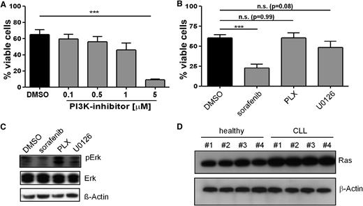 Figure 5. Effect of sorafenib, PI3K, Raf, and MEK inhibitors on the viability and signaling pathways in primary human CLL cells. (A) CLL B cells purified from freshly isolated or freeze-thawed PBMCs from CLL patient samples were treated with 0.1 to 5 µM of the PI3K inhibitor AS605240 for 24 hours, and cell survival was determined by flow cytometry (mean ± SEM, n = 4). (B) CLL B cells were treated with a single dose of 10 µM sorafenib, Plexxikon 4720 (PLX), or the Mek-Inhibitor U01206 for 24 hours, and cell survival was determined by flow cytometry (mean ± SEM, n = 10). (C) CLL B cells were treated with a single dose of 10 µM sorafenib, PLX, or U01206 and immunoblotted for Erk phosphorylation and expression. One representative result from 4 independent experiments is shown. (D) Healthy B cells or CLL B cells purified from freshly isolated or freeze-thawed PBMCs from CLL patient samples were lysed and immunoblotted for Ras expression. Four representative samples from 8 donor-derived lysates from each group are shown. n.s., not statistically significant.