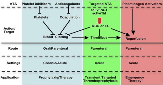 Figure 7. ADDSs cover a new area of antithrombotic utility: TTT. Using ADDSs has the potential to provide ATA pro-drugs with an immediate onset (local activation) and a duration of action lasting hours to days, targeted carriers that capitalize on the dynamic nature of thrombi, and differences between preformed hemostatic and subsequently formed occlusive clots. This approach might extend the medical utility of fibrinolytic or anticoagulant ATAs.