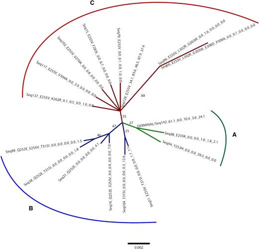 Figure 3. Neighbor joining bootstrap consensus tree (K2P distances) for nucleotide sequences recovered at 5 time points for patient ALL-30 (samples ALL-30-01 through ALL-30-05 in Table 3). The patient was initially enrolled in a clinical study testing the use of nilotinib and imatinib administered in rotation in 6-week cycles. Sample ALL-30-01 (time point 1) was collected after the first (nilotinib) cycle. Sample ALL-30-02 (time point 2) was collected after the second (imatinib) cycle. Sample ALL-30-03 (time point 3) was collected after the fourth cycle. Sample ALL-30-04 was collected after the patient had discontinued the nilotinib-imatinib rotation schedule for hematologic relapse and had received 2 weeks of dasatinib treatment. Sample ALL-30-05 was collected after 6 weeks of dasatinib treatment and a few days before the exitus. Branches with <25% support are collapsed to polytomies. Amino acid substitutions are mapped onto the tree and shown for each sequence along with the percentage of reads that each sequence represented at each time point. “Germline” indicates the unmutated sequence. The scale bar shows substitutions per site. The colors identify the 3 sequence clusters that can be recognized (A-C; see “Further insights into BCR-ABL KD sequence evolution: a phylogenetic approach” for details).