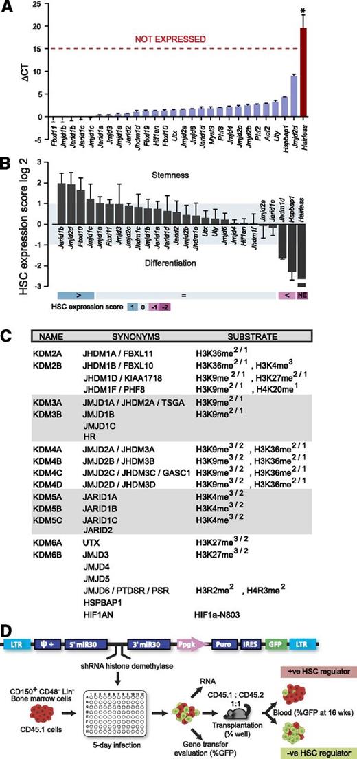 Figure 1. JmjC gene expression in HSC/progenitor cell populations and selection for RNAi screen. (A) Transcript levels of HDM in HSC-enriched cell populations. Results show ΔCT values determined by qRT-PCR assays (with respect to endogenous Hprt expression levels, Ct∼22) and represent average ± standard error of the mean (SEM) of 5 independently sorted HSC populations (bone marrow, n = 3; E14.5 d.p.c. fetal liver, n = 2). Frequencies of long-term–repopulating HSCs in these populations are shown in supplemental Table 1. (B) Comparison of HDM transcript levels detected in HSCs and total bone marrow cell populations. Relative transcript quantities (RQ) are shown in log2 scale and represent the ΔCT (HSC)/ΔCT(bone marrow) ratio determined by qRT-PCR assays (average ± SEM, n = 3). An HSC expression score was implemented based on expression levels (ΔCT) and differential expression (RQ) of individual HDM to rank gene candidates according to relative expression in HSC vs mature cells: gene not expressed in HSC, −2; less (< ) expressed in HSC vs mature cells, −1; more (> ) expressed in HSC, +1; equally expressed, 0. (C) List of the 23 HDM candidates tested in primary screen. HDMs subfamilies sharing similarities outside the catalytic domain are denoted by different shading. Left column, the revised current terminology; center column, synonyms; right column, proposed substrate specificity.10 Four HDM genes were excluded from the screen: Jarid1d and Uty map to chromosome Y and are thus likely not required for regulation of HSC activity; Pla3g4b belongs to the cytosolic phospholipase A2 family; Jhdm1e knockdown could not be achieved by any hairpin in 2 independent experiments. (D) Schema of shRNA retroviral vector backbone (top) and experimental outline (bottom) of the primary screen at the bottom. At 16 weeks after transplantation, an increase in the proportion of GFP+ peripheral blood leukocytes above their input levels reflects knockdown of a negative regulator of HSC activity (green box), and the inverse outcome denotes a positive HSC regulator (red box).