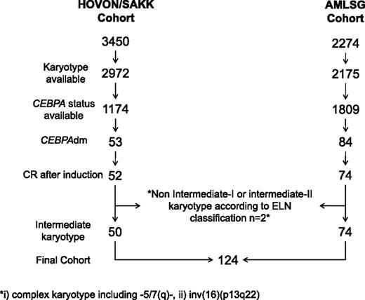 Figure 1. Flowchart on patient selection. Number of patients according to each selection step.