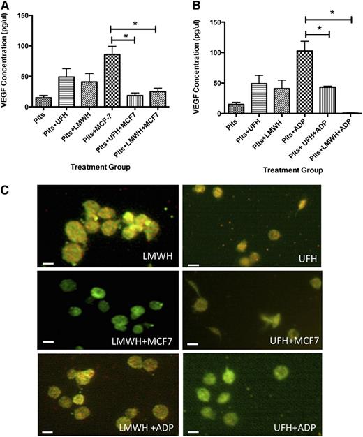 Figure 1. UFH and LMWH suppress VEGF release from human platelets after exposure to MCF-7 cells or ADP. (A) VEGF concentration in releasate generated from platelets resting or exposed to MCF-7 cells after exposure to UFH or LMWH. (B) VEGF concentration in the releasate generated from platelets activated with 25 μM ADP after exposure to UFH or LMWH. (C) Immunofluorescence of platelets resting, exposed to MCF-7 cells, or activated with 25 μM ADP after exposure to UFH or LMWH and labeled with endostatin (red) or VEGF (green). *P < .05. Bars represent 2 μM.