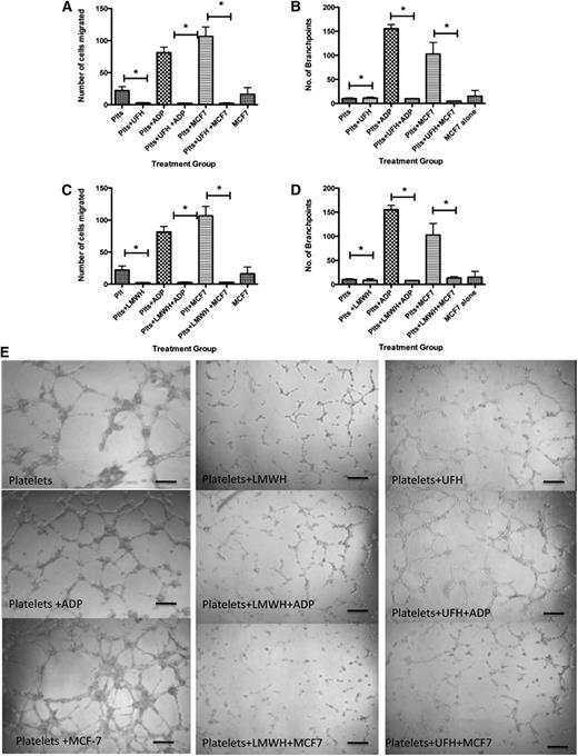 Figure 2. UHF and LMWH inhibit platelet-mediated angiogenic response. (A) Endothelial cell migration after exposure to the releasate from control, resting platelets (Plts) or platelets activated with 25 μM ADP after exposure to UFH. (B) Quantification of branch points generated by the releasate from resting platelets or platelets activated with 25 μM ADP or stimulation with MCF-7 cells after exposure to UFH. (C) Endothelial cell migration after exposure to the releasate from control, resting platelets (Plts) or platelets activated with 25 μM ADP or stimulation with MCF-7 cells after exposure to LMWH. (D) Quantification of branch points generated by the releasate from resting platelets or platelets activated with 25 μM ADP after exposure to LMWH. (E) Representative images of capillary tube formation generated from the releasate of resting platelets or platelets exposed to ADP or MCF-7 cells with or without LMWH or UFH. *P < .05. Bars represent 100 μM.
