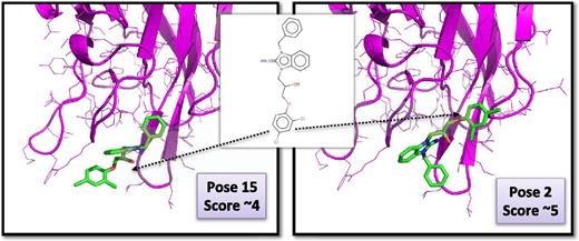 Figure 6. Redocking of compound C11-10 in the FVIII C2 domain. Shown are the ribbon diagrams and the side chains of the C2 domain of human FVIII (in magenta) in the area of the binding pocket. Compound C11-10 is in a stick representation and the 2 most likely positions as obtained after extensive docking and scoring are displayed. Other poses were obtained (>40) but were rejected when they could not make favorable hydrogen bonds and/or hydrophobic/aromatic contacts with the proteins or when the ligand had very high internal strain energy.