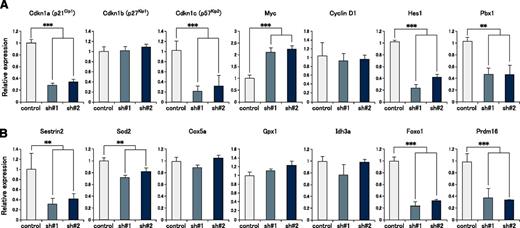 Figure 4. Cyclin-dependent kinase inhibitor genes and antioxidant-related genes are markedly downregulated in mortalin-KD HSCs. Expression of (A) cell cycle–related genes and (B) oxidative stress regulatory genes in GFP+ donor-derived LSK cells at 4 months posttransplantation, as assessed by qRT-PCR. β-actin was used as an endogenous control. Data represent the mean ± SD (**P < .01, ***P < .001).