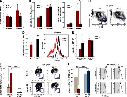 Figure 7. Mortalin/DJ-1 complex formation is a key molecular mechanism underlying ROS regulation in HSCs. (A) Total number of BM cells derived from 12- and 24-week-old WT and DJ-1 knockout mice. Data represent the mean ± SD (12-week-old mice, n = 4; 24-week-old mice, n = 6). (B) The population of LSK cells (left) and CD150+CD48- LSK cells (right) within the entire population of BM cells. Data represent the mean ± SD (12-week-old mice, n = 4; 24-week-old mice, n = 6; *P < .05). (C) Representative FACS profiles of LSK CD150+CD48− fractions derived from 24-week-old WT and DJ-1 knockout mice (n = 4). (D) Representative FACS profiles (right) and the mean (±SD) DCF-DA intensity in LSK cells derived from 24-week-old WT and DJ-1 knockout mice (left) (n = 4; **P < .01). (E) Intensity of DCF-DA fluorescence in CD150+CD48− LSK or CD48+ LSK cells derived from 24-week-old WT and DJ-1 knockout mice. Data represent the mean ± SD (n = 4; ***P < .001). (F) Percentage (left) and representative FACS profiles (right) of CD150+CD48− LSK cells in the mortalin-overexpressing DJ-1−/− and WT cell populations after 10 days of culture. Sorted mortalin-overexpressing retrovirus-transduced GFP+ LSK cells derived from DJ-1−/− and control mice were used in these experiments. Data represent the mean ± SD (n = 8/group; ***P < .001). (G) Percentage (left) and representative FACS profiles (right) of Mitosox+CD150+ LSK cells in the mortalin-overexpressing DJ-1−/− and WT cell populations after 10 days of culture. Sorted mortalin-overexpressing retrovirus-transduced GFP+ LSK cells derived from DJ-1−/− and control mice were used in these experiments. Data represent the mean ± SD (n = 8/group; ***P < .001).