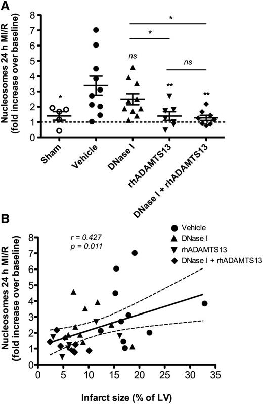 Figure 3. Effect of applied treatments on the level of nucleosomes in plasma. (A) Treatment with rhADAMTS13 and its coadministration with DNase I significantly decreased the levels of circulating nucleosomes in plasma 24 hours after MI/R. Nucleosome levels are expressed as a fold increase over the baseline (*P < .05, **P < .01, as compared with vehicle-treated mice). (B) This graph depicts a significant positive association between plasma nucleosome levels and the degree of cardiac damage (infarct size, % of LV) among mice from all experimental groups.