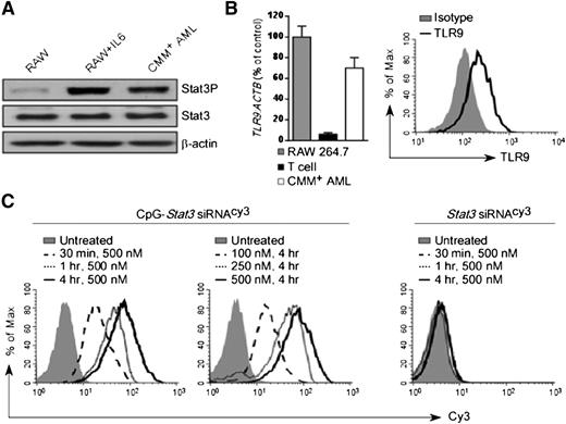 Figure 1. CpG-siRNA strategy allows for targeted delivery of Stat3 siRNA into TLR9-positive Cbfb-MYH11/Mpl+ leukemic cells. (A) Western blot analysis showing constitutive activation of Stat3 in CMM+ AML cells compared with untreated or IL-6–treated RAW 264.7 macrophages; β-actin was used as an internal loading control. (B) TLR9 expression in CMM+ AML cells. Tlr9 messenger RNA and protein were assessed by using quantitative polymerase chain reaction (qPCR) (left panel) and flow cytometry (right panel). RAW 264.7 macrophages and CD3+ T cells were used as positive and negative controls, respectively. (C) Dose- and time-dependent internalization of naked CpG-Stat3 siRNA by CMM+ cells. Both molecules were labeled with Cy3 fluorochrome on the 5′ end of the siRNAs to follow their intracellular uptake. AML cells were incubated with various concentrations of fluorescently labeled CpG-Stat3 siRNACy3 conjugate or unconjugated Stat3 siRNACy3 for indicated times without any transfection reagents. Percentages of Cy3+ AML cells were assessed by fluorescence-activated cell sorter.