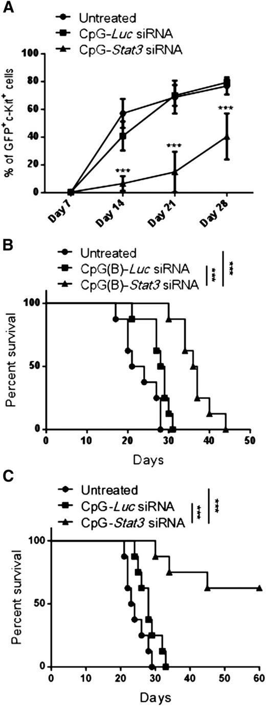 Figure 3. Targeting Stat3 reduces leukemia-initiating potential of Cbfb-MYH11/Mpl+ cells. (A-B) CMM+ AML cells were isolated from bone marrows of primary recipient mice treated with CpG siRNAs (5 mg/kg) injected intravenously 6 times every other day or untreated as described in Figure 2. Magnetically enriched c-kit+ AML cells pooled from CpG-Stat3 siRNA, CpG-Luc siRNA, or untreated mice were pooled and counted, and identical cell numbers were injected into secondary recipient mice. (A) AML progression in all experimental groups was monitored weekly by using flow cytometry to detect percentages of blood GFP+c-Kit+ AML cells in the peripheral blood. (B) Survival of mice injected with CpG-Stat3 siRNA–treated AML cells was significantly improved compared with mice that received untreated or CpG-Luc siRNA–treated AML cells. (C) Survival curve showing long-term antitumor effect of systemic administration of CpG-Stat3 siRNA compared with untreated CpG-Luc siRNA–treated group. Statistically significant differences between CpG-Stat3 siRNA– and CpG-Luc siRNA–treated or untreated groups are indicated by asterisks: P = .0002 and P < .0001, respectively. Shown are means ± SEM with n = 8 per group.