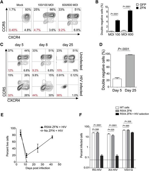 Figure 1. Simultaneous ZFN modification of ccr5 and cxcr4 protects SupT1-R5 T cells from infection with viruses that use either CCR5 or CXCR4. (A) Surface expression of CCR5 (R5) and CXCR4 (×4) on SupT1-R5 cells following delivery of increasing MOIs of the Ad R5- and X4-ZFNs. Percentage of cells lacking both coreceptors is labeled in red. (B) Proportion of cells lacking both surface R5 and X4 (double-negative cells) following simultaneous treatment with the R5 (MOI 600) and X4 (MOI 600) ZFNs as measured by FACS. (C) Dual ZFN-treated cells were challenged with a mix of R5- and X4-using HIV and surface expression of R5 and X4 was measured over time in infected and uninfected R5/X4-ZFN–treated cells. (D) The proportion of double-negative cells following R5/X4-ZFN treatment and subsequent HIV infection was measured by FACS 5 and 25 days postinfection. (E) Cell viability after infection of mock (no ZFN) or R5/X4-ZFN–treated supT1-R5 cells with a mix of R5- and X4-HIV. Viability was measured by FACS following treatment with a viability dye. (F) Dual ZFN-treated supT1-R5 cells previously challenged with HIV and no longer expressing either coreceptor (▪) as shown in panel C, were rechallenged with either R5-HIV, X4-HIV, or VSV-G-HIV pseudoviruses expressing GFP. HIV pseudovirus rechallenge of previously HIV-selected double-negative cells resulted in 170-fold and 92-fold decreases in infection by R5 and X4-HIV, respectively, whereas VSV-G pseudovirus infection was decreased only ∼1.7-fold. All graphs represent the mean (±SEM) of 4 independent ZFN treatments and 4 independent infection experiments; P values calculated using the Student t test.