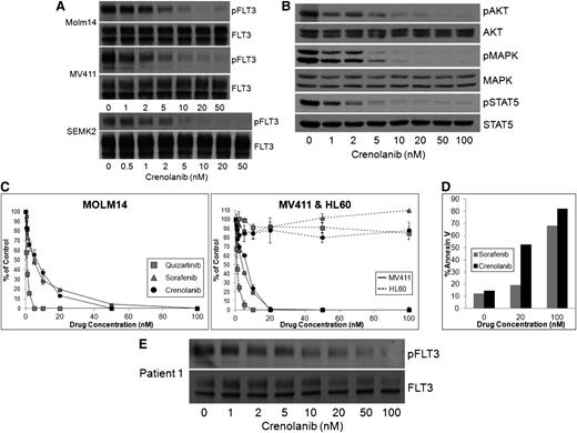 Figure 2. Activity of crenolanib against WT and ITD-mutated FLT3 in vitro. (A) FLT3/ITD cell lines (Molm14 and MV411) and FLT3 WT cell lines (SEMK2) were treated with crenolanib for 1 hour and then cells were lysed, immunoprecipitated for FLT3, and analyzed by immunoblotting for phospho- and total FLT3. (B) An aliquot of the lysate of Molm14s treated with crenolanib from (A) was reserved for analysis of downstream signaling molecules including pAKT, pMAPK, pSTAT5, and the corresponding total protein content. (C) Cytotoxicity of these doses of crenolanib in FLT3/ITD cell lines was analyzed by MTT assay. HL-60 cells, which express extremely limited WT FLT3, were used as a control. (D) Apoptosis induced by crenolanib and sorafenib 48 hours after treatment of Molm14 cells with drug was analyzed by Annexin V flow cytometry. (E) Patient blasts containing a FLT3/ITD mutation were treated with crenolanib, lysed, and immunoblotted for phospho- and total FLT3.