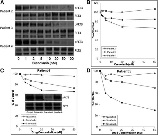 Figure 3. Inhibitory activity of crenolanib against FLT3 TKD mutations in primary AML samples. (A) Blasts from patient 2 (de novo D835Y), patient 3 (de novo D835Y), and patient 4 (relapsed D835V) were incubated for 1 hour with crenolanib and then lysed, immunoprecipitated for FLT3, and analyzed for phospho- and total FLT3 by immunoblotting. (B) Blasts from the same patients in panel 2 were treated with crenolanib in 96-well plates for 72 hours, and cytotoxicity was analyzed by MTT. (C) Blasts from patient 4 were also treated with quizartinib and sorafenib in this analysis. In a separate immunoblot experiment (inset), blasts from patient 4 were treated with 20 nM of quizartinib, crenolanib, and sorafenib for 1 hour and then lysed, immunoprecipitated for FLT3, and analyzed by immunoblot for phospho- and total FLT3. (D) Patient 5 had a FLT3/ITD mutation and was treated with sorafenib, responded to treatment, and then relapsed. Blasts collected after relapse harbored a D835F mutation, along with the original FLT3/ITD mutation. These blasts were treated with crenolanib, quizartinib, or sorafenib in 96-well plates for 72 hours, and cytotoxicity was analyzed by MTT.