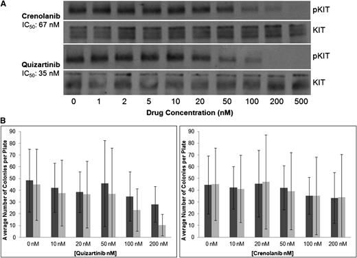 Figure 4. Inhibition of c-KIT and erythropoiesis. (A) TF-1 cells, which express WT c-Kit, were treated with crenolanib or quizartinib for 1 hour. In the last 5 minutes of drug treatment, 20 ng of stem cell factor was added. The cells were lysed, immunoprecipitated for c-Kit, and analyzed by immunoblot for phospho- and total c-Kit. (B) Normal human donor bone marrow (n = 3) was collected and diluted to a concentration of 100 000 cells per mL in MethoCult. Various concentrations of crenolanib or quizartinib were added, and cells were plated in quadruplicate in 35-mm dishes. Each dish was viewed under a light microscope, and total numbers of granulocyte-macrophage colony-forming unit and erythrocyte burst-forming unit colonies were recorded.