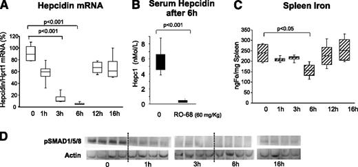Figure 4. Single dose of RO-68 (60 mg/kg) strongly inhibited liver hepcidin and spleen iron in 6 hours. Mice (8-9 weeks old) were treated SC with RO-68 (60 mg/kg) in a single dose and euthanized after 1-3-6-12-16 hours. (A) Hepcidin mRNA was quantified by qRT-PCR in relationship to Hprt1 mRNA. (B) Serum hepcidin was measured by surface enhanced laser desorption ionization–time of flight mass spectrometry after 6 hours of treatment. (C) Spleen iron was measured spectrophotometrically. (D) pSMAD1, pSMAD15, and pSMAD18 were evaluated by western blotting analysis. Actin was used as calibrator. Data are representative of 4 mice/point and are expressed with box plot histograms. Hepcidin level is expressed as percentage of untreated mice (100%)