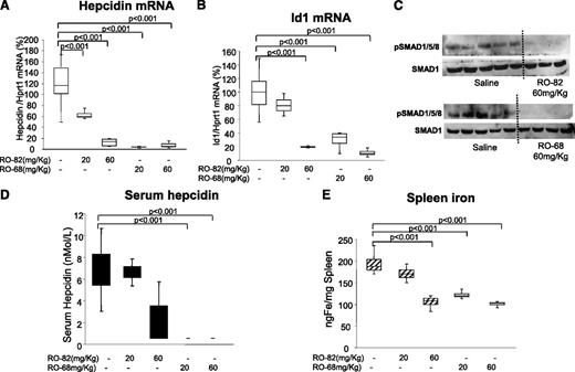 Figure 6. Chronic treatment with RO-82 and RO-68 (20-60 mg/kg daily for 1 week) inhibited liver hepcidin and spleen iron. Mice (8-9 weeks old) were treated with RO-82 and RO-68 (20-60 mg/kg daily for 1 week) and euthanized. Hepcidin (A) and Id1(B) mRNA were quantified by qRT-PCR in relationship to Hprt1 mRNA. Data are representative of 4 mice/point and are expressed with box plot histograms. Hepcidin and Id1 level are expressed as percentage of untreated mice (100%). pSMAD1/5/8 and SMAD1 were evaluated in untreated and treated (60 mg/kg RO-82 and RO-68) mice by western blotting (C). Serum hepcidin was measured by surface enhanced laser desorption ionization–time of flight mass spectrometry (D), and spleen iron was measured spectrophotometrically (E).