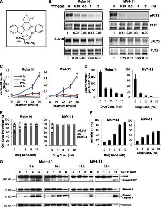 Figure 1. TTT-3002 is a potent inhibitor of FLT3/ITD in AML cell lines. (A) Structure of TTT-3002. (B) Inhibition of pFLT3 in Molm14 and MV4-11 cells treated with TTT-3002 or AC220; fraction of pFLT3/FLT3 relative to DMSO control is indicated below each western blot. (C) Viable cell counts by Trypan blue exclusion assay; error bars represent average ± standard deviation (SD). (D) Inhibition of colony formation by TTT-3002; error bars represent average ± SD. (E) Cell cycle arrest at 24 hours following treatment with TTT-3002 (0 to 10 nM); error bars represent average ± SD. (F) Annexin V binding at 48 hours; data represent average percentage of Annexin V–positive cells ± SD. (G) Expression of proapoptotic markers, cleaved poly ADP ribose polymerase (PARP), and cleaved caspase-3 was increased at 12 and 24 hours by western blotting of Molm14 and MV4-11 cell lysates following treatment with TTT-3002 at the indicated concentrations.