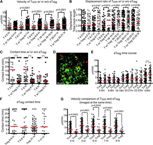 Figure 3. Endogenous Tregs show stable interactions with host DCs and interfere with the interaction between donor T cells and DCs in the LNs. (A-C) Intravital imaging of donor T cells (labeled with CMTPX) and host DCs in the popliteal LNs of irradiated CD11c-DTR-EGFP mice in the presence (Tcon:Treg ratio of 3:2) or absence of unlabeled Tregs. In the absence of Tregs, unlabeled T cells were injected to provide an identical number of donor cells. (A) The mean velocity of donor T cells in the presence or absence of eTregs from 4 to 24 hours (hr) posttransplant. (B) The time course of the displacement ratio of donor T-cell movement in the presence or absence of eTregs. (C) Contact time between donor T cells and host DCs with or without eTregs at different time points posttransplant. (D-G) Intravital imaging of donor eTregs (labeled with CMTPX) and host DCs in the presence of unlabeled Tcons. (D) Still image from movies of eTreg (red) with DCs (green). (E) Comparison of mean velocity between eTregs and Tcons cells at various time points after transplant. (F) Contact time between eTregs and host DCs, compared with contact time between donor T cells and DCs. (G) Comparison of mean velocity between eTregs and Tcons when they were injected into the same recipient. The bars in all graphs represent median values. Asterisks indicate statistically significant differences between time points (*P < .05) or P value is shown. Data are representative of 2 separate experiments with 1 mouse imaged per condition per experiment.