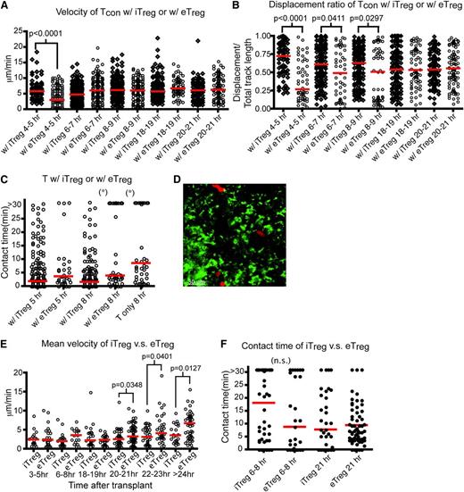 Figure 4. Inducible Tregs interfere with the interactions between donor T cells and host DCs comparable to eTregs. (A-C) Intravital imaging of donor T cells (labeled with CMPTX) and host DCs of irradiated CD11c-DTR-EGFP mice in the presence of eTregs (Tcon:eTreg ratio of 3:2) or iTregs (Tcon:iTreg ratio of 1:1). (A) The time course of mean velocity of donor T cells in the presence of iTregs or eTregs. (B) The time course of the displacement ratio of donor T-cell movement in the presence of iTregs or eTregs. (C) Contact time between donor T cells and DCs with iTregs or eTregs at 5 or 8 hours (hr) posttransplant. (D-F) Intravital imaging of donor iTregs or eTregs (labeled with CMPTX) and host DCs in the presence of unlabeled donor T cells. (D) Still image from movies of iTregs (red) with DCs (green). (E) Comparison of mean velocity between iTregs and eTregs cells at various time points after transplant. (F) Contact time between iTregs–DC in comparison with contact time between eTregs and DCs at 2 different time points after transplant. The bars in all graphs represent median values. Asterisks indicate statistically significant differences (*P < .05) or P value is shown. Data are representative of 2 experiments with 1 to 2 mice per experiment.