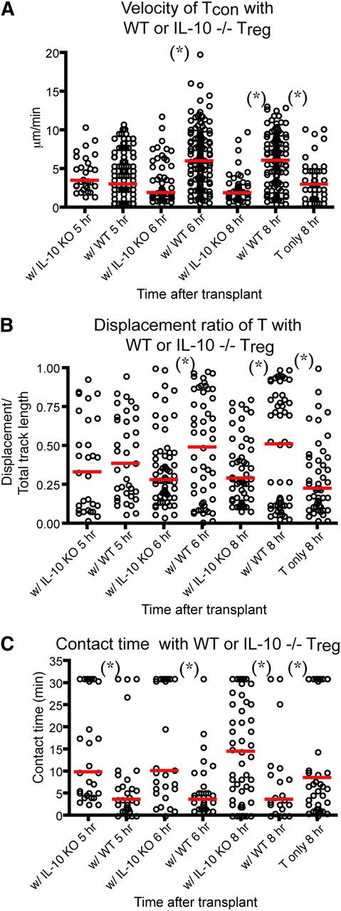 Figure 5. IL-10 is required for Treg-mediated disruption of Tcon–DC interaction. Intravital imaging of donor T cells (labeled with CMTPX) and host DCs in the popliteal LNs of irradiated CD11c-DTR-EGFP mice in the presence of WT or IL-10−/− Tregs. (A) The comparison of mean velocity of donor T cells in the presence IL-10−/− or WT Tregs. (B) The comparison of the displacement ratio of donor T-cell movement in the presence IL-10−/− or WT Tregs. (C) Contact time between donor T cells and host DCs in the presence IL-10−/− or WT Tregs at different time points posttransplant. The bars in all graphs represent median values. Asterisks indicate statistically significant differences between the groups or time points (*P < .05). Data are representative of 2 experiments with 1 to 2 mice per experiment.
