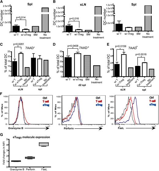 Figure 7. Tregs promote DC death. (A-G) Flow analysis on DCs from sLNs and spleens of recipient mice that were transplanted with T cells or eTregs or iTregs (with TCD BM) 1 day or 2 days prior to analysis. (A) Total DC number on day 2 in the spleen of mice transplanted with T cells or eTregs on day 2 posttransplant. (B) Total number of DCs on day 1 in sLNs and spleen of mice transplanted with T cells or iTregs. (C-E) The percentage of 7AAD+ DCs in total DCs from sLNs or the spleen of mice transplanted with T cells or eTregs on day 1 (C) or day 2 (spleen only) (D). (E) The percentage of 7AAD+ DCs of total DCs from sLNs or spleens of mice transplanted with T cells or iTregs on day 1. (F) Flow analysis of eTregs from spleens 3 days posttransplant. (G) Box plot of fold changes in MFI for granzyme B, perforin and FasL from eTregs. N = 3 to 4 mice per group (1 mouse for controls) with representative data from 2 different experiments.
