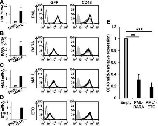 Figure 4. Expression of the oncogenic AML proteins leads to reduced CD48 mRNA levels. (A-D) qRT-PCR and FACS analysis of U937 cells transduced with PML3 (A), RARA (B), AML1b (C), and ETO (D). Left graphs: Verification of the overexpression of the single proteins by qRT-PCR. The results were normalized to hypoxanthine guanine phosphoribosyl transferase (HPRT). Error bars represent the standard deviation of the means of 3 independent experiments (each in triplicates). Left histograms (labeled GFP): Flow cytometry of GFP expression (indicative of the transduction) of untransduced U937 cells (gray line) and transduced cells (black line). Right histograms (labeled CD48): Flow cytometry analysis of CD48 expression in cells transduced with 1 of the single proteins (black line) or with an empty vector (gray line). The gray shaded histograms are the background staining with an isotype-matched control antibody. The FACS staining includes 1 representative experiment of 2 representative experiments performed. (E) qRT-PCR analysis of the expression of CD48 in U937 cells transduced with an empty vector compared with U937 transduced with PML-RARA or AML1-ETO. The results were normalized to the expression of HPRT. The relative copy number of CD48 in cells expressing the empty vector was defined as 1. Error bars represent the standard deviation of the means of 3 independent experiments (each in triplicates). **P < .01; ***P < .001, Student t test.