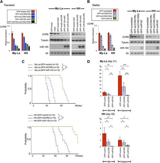 Figure 5. Inoculation of GFP-siCCR6–transfected CTCL cells into NOG mice. (A) Expression of CCR6 in CTCL cell lines transiently transfected with siCCR6(705 or 1058). Left: relative expression of CCR6 in GFP-empty-CTCL (shown as “GFP-empty”) (My-La or HH), GFP-miR-150-CTCL cells transiently transfected with scrambled (shown as “+siSC”), or siCCR6 (shown as “+siCCR6”). Right: western blot analysis of CCR6 in GFP-empty (control) or GFP-miR-150 transduced CTCL cells transiently transduced with siCCR6(1058). Tubulin is the control for CCR6; 5S is the control for miR-150. (B) qPCR and western blot analyses of CCR6 in My-La and HH cells stably transfected with GFP-siCCR6. Relative expression of CCR6 in GFP-scrambled (control) CTCL (shown as “GFP-scrambled”), GFP-siCCR6 (705 or 1058)-CTCL, or GFP-miR-150-CTCL cells. GFP-siCCR6 expressing transfected cells were sorted and obtained with >99% purification. Northern blots against miR-150 are also shown below the western blot data. (C) Survival curves for NOG mice inoculated with My-La and HH transfected with GFP-scrambled (shown as “control”), GFP-siCCR6(1058), or GFP-miR-150 (n = 10 each). Asterisks (*) indicate statistical significance: *.01 ≤ P < .05; **.001 ≤ P < .01. (D) Percentages of BM and spleen involvement in NOG mice inoculated CTCL cells transduced with GFP-control, GFP-siCCR6, or GFP-miR-150. NOG mice (n = 6 each) were sacrificed at day 31 (My-La) or day 55 (HH). P values were calculated using Student t test. Asterisks (*) indicate statistical significance: *.01 ≤ P < .05; **.001 ≤ P < .01; ***P < .001. Bars are means ± SEM of 6 independent experiments.