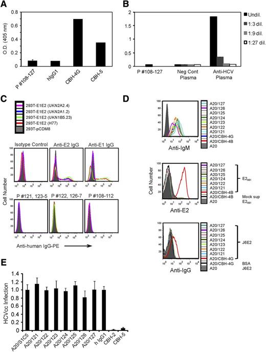 Figure 1. Rescued HCV-associated lymphoma Ids do not react with viral proteins when expressed as soluble IgGs or as cell surface IgMs. (A) Purified J6E2 captured on lectin-coated 96-well plates was incubated with the indicated patients’ Id IgG1s, with anti-E2 mAbs CBH-4G or CBH-5, or with a human IgG1/κ isotype control. Plate-bound IgGs were detected with an HRP-conjugated antihuman IgG. (B) 96-well plates coated with HCV core, NS3, and NS5 antigens were incubated with the indicated patients’ Id IgG1s, with anti-HCV plasma, or with negative control plasma and diluted as indicated. After washing, plate-bound Igs were detected with HRP-conjugated HCV core, NS3, and NS5 antigens. (A-B) Each bar represents the mean optical density of wells incubated with each group of Id IgGs ± the standard deviation. Representative results of 2 experiments for each assay are shown. (C) Single-cell suspensions of 293 T cells transfected with empty pCDM8 vector (filled gray) or with pCDM8 vectors encoding E1E2 of the indicated genotypes were fixed and permeabilized. The cells were then stained with the anti-E2, anti-E1, a human IgG1/κ isotype control mAb, or with a mixture of the indicated patients’ IgG1 containing 0.5 μg of each Id. Cells were then washed, stained with PE-conjugated antihuman IgG, and analyzed by flow cytometry. (D) The patients’ Ids were expressed as human IgMs on the surface of the mouse B-cell line, A20. Positive controls were A20 cells expressing CBH-4B or CBH-4G. Cells were stained with FITC conjugated anti-human IgM (top panel). Cells were incubated for 1 hour on ice with cell culture supernatant containing soluble E2661 or mock supernatant. Cells were then washed, stained with AlexaFluor 647-conjugated mouse anti-E2 mAb (H53) (middle panel). Cells were incubated for 1 hour on ice with soluble J6E2 or bovine serum albumin, washed, and further incubated for 1 hour on ice with a 1:1 mixture of the anti-E2 mAbs CBH-2 and CBH-5. After washing, cells were stained with AlexaFluor 647-conjugated antihuman IgG (bottom panel). (C-D) Cells were washed and analyzed by flow cytometry. (E) A20 cells expressing the indicated surface lymphoma patients’ Id IgM or an IgM of irrelevant specificity (SIC5); neutralizing anti-E2 mAbs (CBH2 or CBH5) or a control human IgG1 mAb were incubated with luciferase-reporter HCV produced in cell culture (HCVcc) (J6/JFH(p7-Rluc2A) HCV,14 titer: 6.3 × 105 TCID50/mL) for 1 hour at 37°C. These samples were then used to inoculate naïve huh-7.5 cells. To measure infectivity, cells were lysed at 48 hours and subjected to standard luciferase assays. Y-axis represents HCVcc infection relative to the A20 SIC5 control. Data represent means and standard deviations (error bars).