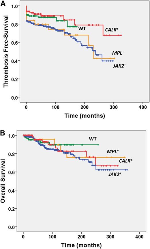 Figure 1. Overall Survival and Thrombosis-free survival according to mutational status. Kaplan-Meier estimate of (A) thrombosis-free survival and (B) overall survival in patients who were categorized according to their mutational status (JAK2V617+, MPLW515+, CALR+, or wt for the above mutations).
