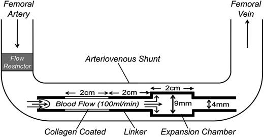 Figure 2. Schematic diagram of the arteriovenous shunt and thrombogenic device used to study thrombosis in baboons. Thrombogenic devices contain a 20-mm long segment of ePTFE graft tubing (4-mm diameter) coated with collagen and a 20-mm expansion chamber made of silicon rubber tubing (9-mm diameter, 20-mm length) downstream of the collagen-coated segment. The collagen-coated segment and expansion chamber are connected by a 20-mm linker made of uncoated silicon tubing (4-mm diameter). Flow through the arterio-venous shunt is adjusted to 100 mL per minute by a flow restrictor, producing an initial shear rate in the collagen-coated portion of the thrombogenic device of 265 s−1.