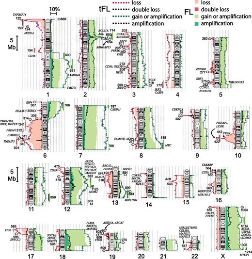 Figure 1. Ideograms with the frequency of gains, amplifications, losses, or double losses found in FL or tFL tumors. Common rCNAs and candidate genes are noted.