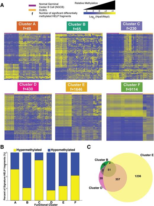 Figure 3. Cluster DNA methylation signatures. (A) Heat map representation for the HELP fragments that are differentially methylated between NGCB cells and DLBCL cases in each cluster (moderated Student t test q value <0.05 and log fold change ≥1.5). Each row represents a single HELP fragment (probe set) and each column a single patient/normal sample. Yellow represents highly methylated (hypermethylated) fragments and blue represents fragments with lower methylation (hypomethylated). (B) Bar plot showing relative abundance of methylation gain and loss for each cluster signature. (C) Venn diagram depicting the overlap of differentially methylated HELP fragments among clusters B, D, and E.