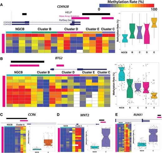 Figure 4. Technical validation of differentially methylated loci. MassARRAY EpiTYPER results are shown for (A) CDKN2B, (B) BTG2, (C) CCR6, (D) WNT2, and (E) RUNX1. In each panel, the genome plots show the location of the HELP locus (black). The pink genome track shows the region assayed by MassARRAY. DLBCL samples were randomly selected as cluster representatives for validation (columns). Each row represents an individual genomic cytosine in the genomic region shown in the genome plot above the heat map (pink). Color intensity from blue to red represents the methylation rate (0%-100%). The boxplots on the right depict the distribution of methylation rate by group for all cytosines in regions assayed by MassARRAY.