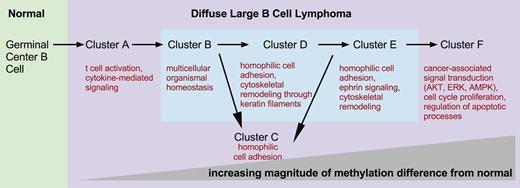 Figure 5. DNA methylation clusters represent molecular states. Schematic depicting increasing differences in methylation from normal NGCB cells from left to right. The figure presents a model of possible transitions between DLBCL molecular states. The transitions were derived from an analysis of the number of differentially methylated genomic fragments whose identity overlaps between clusters. Biological processes and pathways significantly overrepresented in each cluster are depicted under each cluster label.