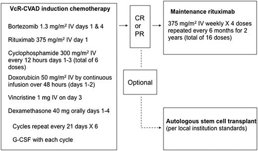 Figure 1. Treatment plan for VcR-CVAD induction and MR. G-CSF, granulocyte colony-stimulating factor.